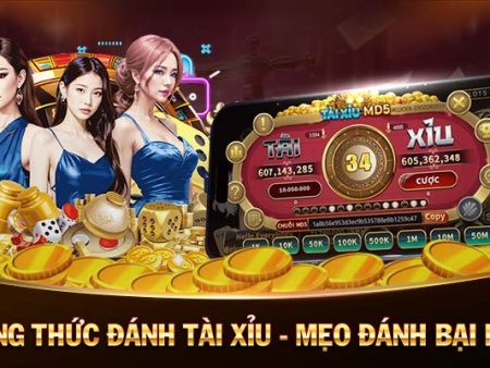 big52-Tận hưởng ưu đãi đặc biệt với code tân thủ!