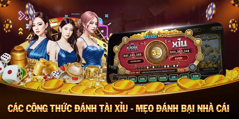 big52-Tận hưởng ưu đãi đặc biệt với code tân thủ!