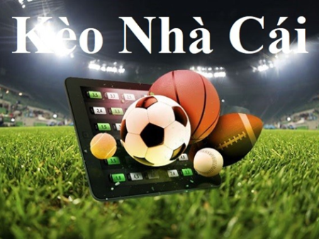 TOP 5 nhà cái bắn Cá uy tín nhất 2025 Vuaclub