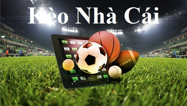 TOP 5 nhà cái bắn Cá uy tín nhất 2025 Vuaclub